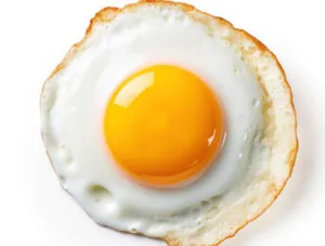 Egg Half Fry