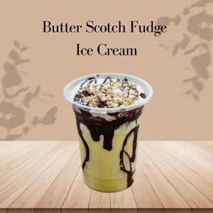 Butter Scotch Fudge Ice Cream
