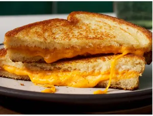 Veg Chees Sandwich